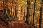 Temperaturile maxime urcă la 26 - 27 grade în această săptămână, în Oltenia și Muntenia. Ploi în următoarele două weekenduri