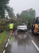 VIDEO&FOTO Furtuni cu grindină, străzi inundate, copaci doborâți, drumuri blocate