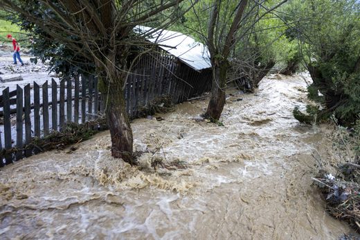 Ploile continuă. Numeroase pagube în Muntenia. Drumuri avariate, copaci căzuți și inundații. Tulcea e sub cod galben