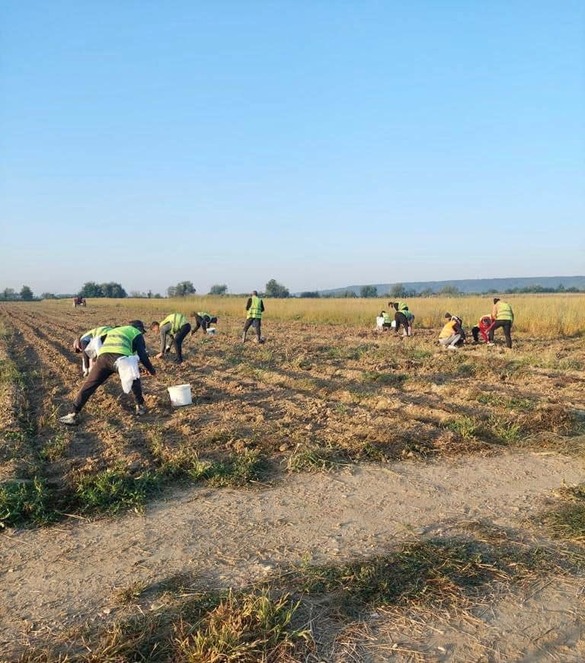 Penitenciar forta de munca Penitenciar forta de munca