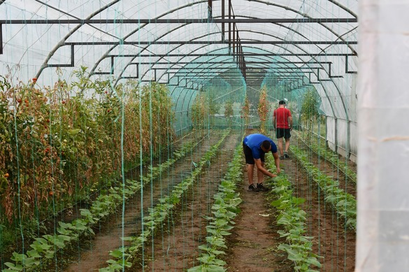 Penitenciar forta de munca Penitenciar forta de munca