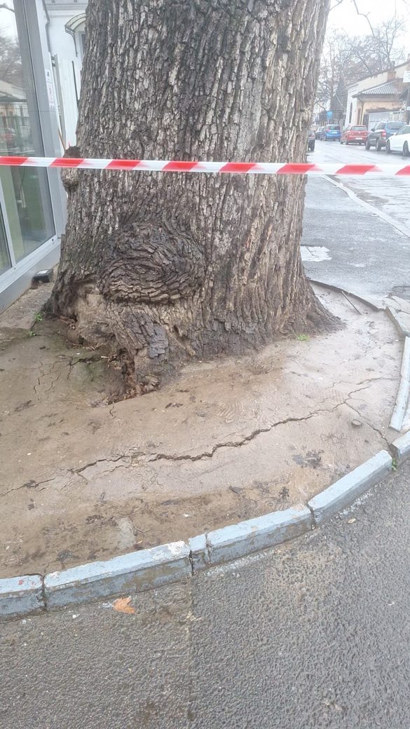 Foto Eco-Civica Foto Eco-Civica