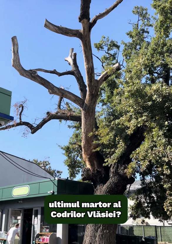 Foto Eco-Civica Foto Eco-Civica