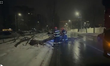FOTO Zăpadă și viscol în sud-estul României - Drumuri închise, copaci căzuți, mașini avariate