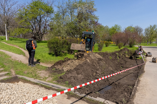 FOTO Prima grădină de ploaie din București, în Parcul Tineretului