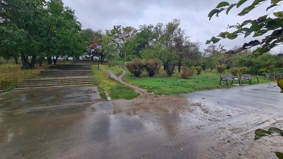 FOTO Prima grădină de ploaie din București, în Parcul Tineretului
