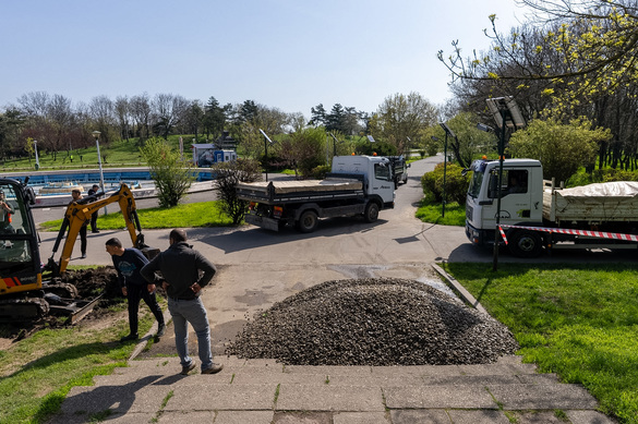 FOTO Prima grădină de ploaie din București, în Parcul Tineretului