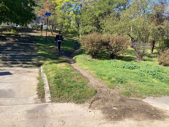 FOTO Prima grădină de ploaie din București, în Parcul Tineretului