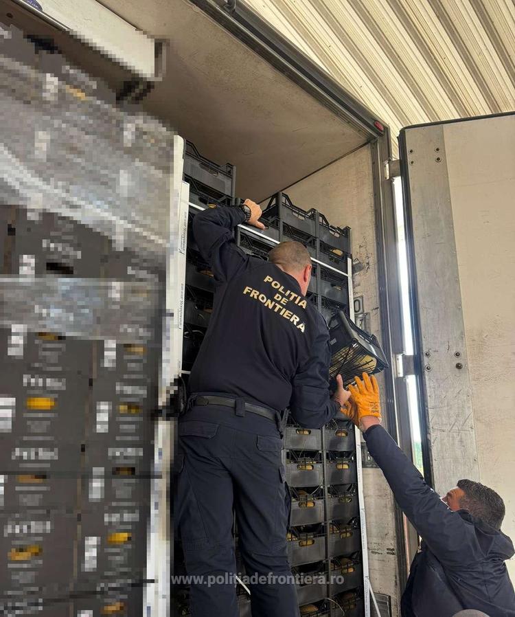 FOTO Captură uriașă a polițiștilor de frontieră: peste 7 milioane de țigarete, în valoare de peste 2 milioane de euro, ascunse într-un transport de citrice la Giurgiu