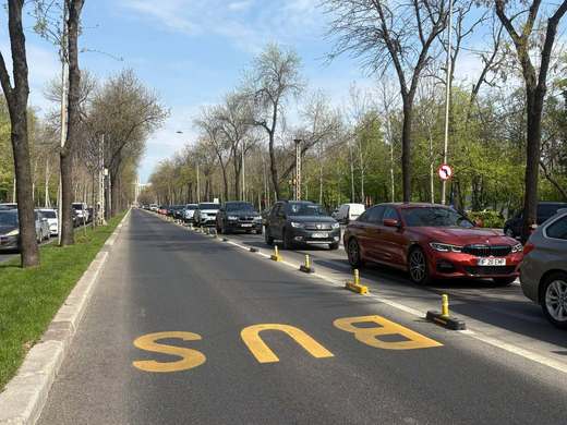 Plan de reîmpădurile în București și Ilfov pe 250 de hectare