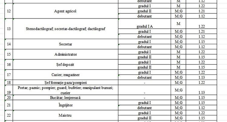 EXCLUSIV ULTIMA ORĂ Noi salarii în administrația publică, de la director general la consilier, bucătar, șofer LISTA
