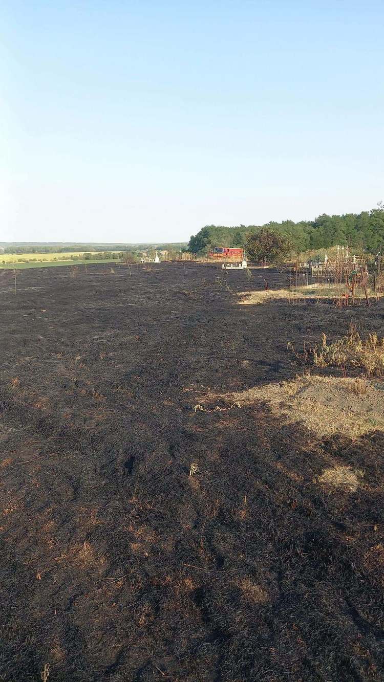 FOTO 50 hectare vegetație arse de o lumânare din cimitir