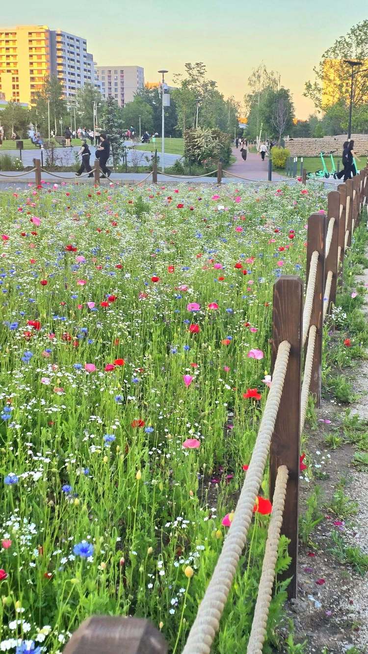FOTO&VIDEO Noul parc din București. Va fi deschisă Faza 3 a Parcului Liniei.