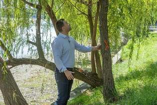 FOTO Ciucu, în forță: Mă duc peste constructor în Herăstrău!