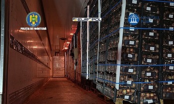 FOTO Grup infracțional organizat specializat în trafic de țigarete, destructurat de polițiștii de frontieră. Prejudiciul se ridică la 11 milioane de euro