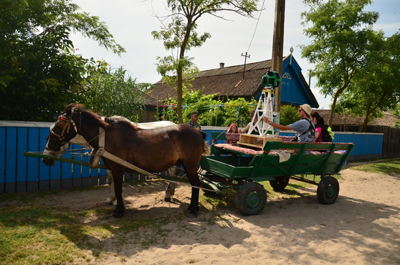 VIDEO&FOTO Delta Dunării poate fi explorată virtual pe Google Maps. Imagini preluate de pe bicicletă, din barcă sau din căruță