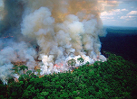 VIDEO Amazonul în flăcări - O suprafață de 7,4 milioane de kilometri pătrați din bazinul fluviului este afectată. Brazilia și Venezuela, număr record de focare