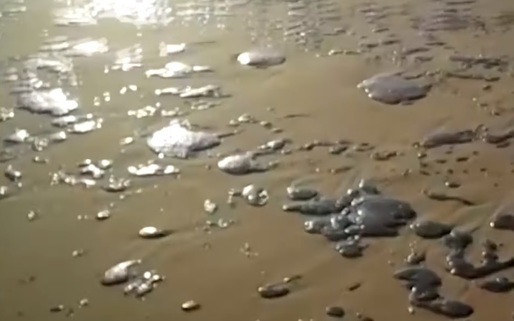 VIDEO Peste o sută de plaje din Brazilia, poluate cu petrol