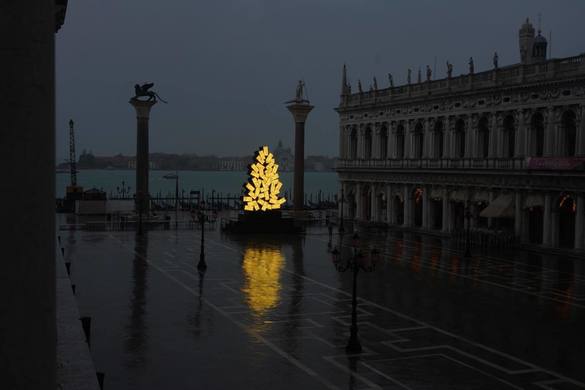 FOTO În Piața San Marco din Veneția a fost amplasat un brad de Crăciun... digital