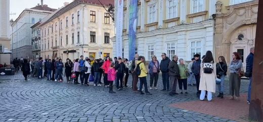 Record de bilete rezervate la expoziția Constantin Brâncuși. Coadă în fața Muzeului de Artă Timișoara. Evaluare de peste o jumătate miliard euro