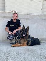 FOTO Kira și Paco, doi câini special antrenați, au descoperit, la Suceava, kilograme de tutun de contrabandă