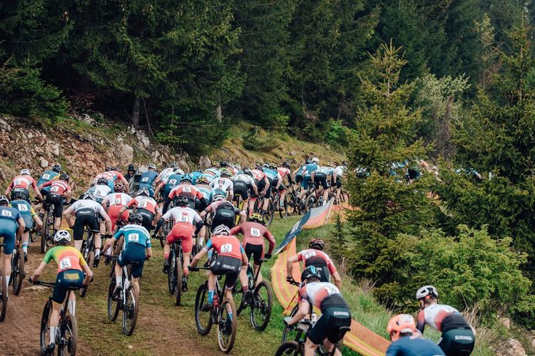 Auchan susține viitorii campioni ai ciclismului european la Cheile Grădiștei, gazda Campionatului European de MTB pentru Tineret