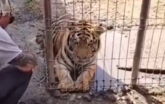 VIDEO Zoo ilegal descoperit lângă București