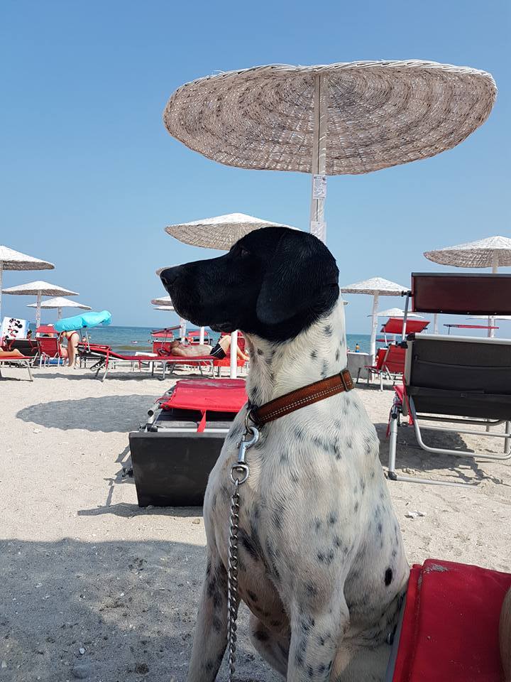 Aproape jumătate din totalul turiștilor ajunși pe litoral în weekend s-au cazat \