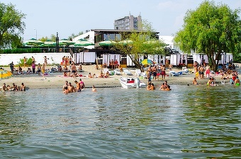 Fiul lui Dragnea iese din business-ul cu restaurante