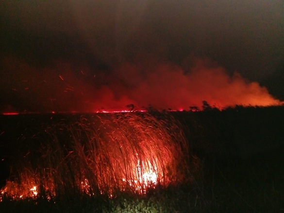 FOTO Incendiul din Delta Dunării, stins după aproape 6 ore. A fost afectată o suprafață importantă