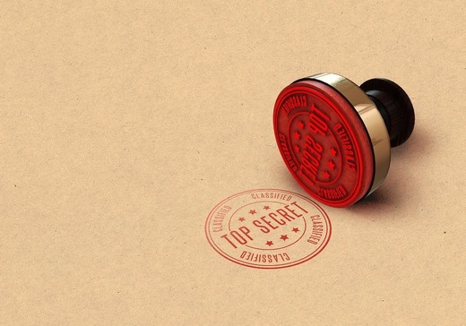 CONFIRMARE Senatorii au stabilit că veniturile primite de angajații din servicii, armată și poliție sunt exceptate de la obligația publicării