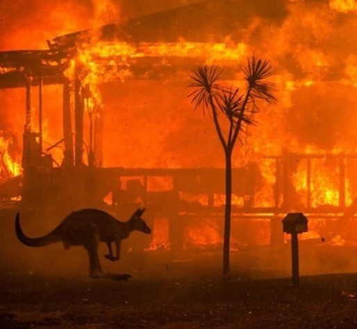 Incendiile din Australia au pârjolit o suprafață de 103.000 de kilometri pătrați, mărimea Coreii de Sud