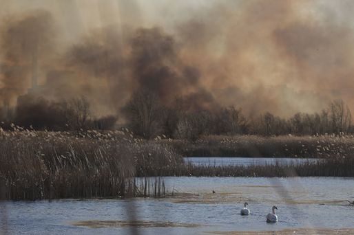 VIDEO&FOTO Incendiu puternic în Delta Văcărești. 30.000 de metri pătrați de vegetație ard