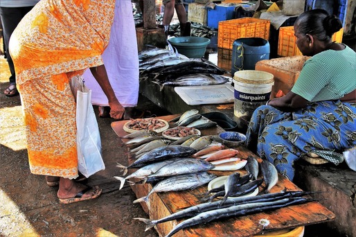Sri Lanka declară stare de urgență alimentară