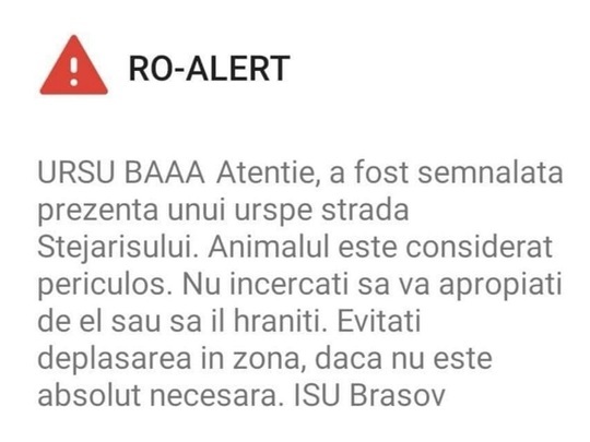 FOTO Anchetă ISU, după un mesaj trimis prin Ro Alert locuitorilor din Brașov: „Ursul băăă!”