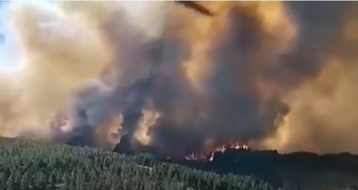 VIDEO Argentina se luptă cu incendii masive