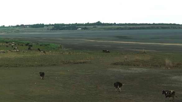 FOTO Lacul Amara, cu o suprafață de 800 de hectare, a secat complet