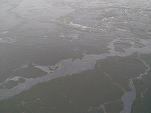 FOTO Poluare cu petrol pe Dunăre