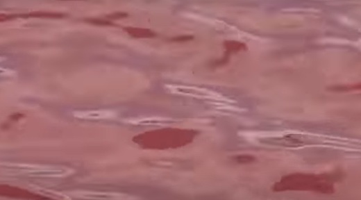 VIDEO O fabrică de bere și-a cerut scuze după ce a colorat apa mării în roșu