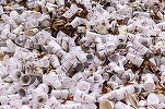 Bătălie între megacorporații pe marginea negocierii unui tratat global cu forță juridică ce ar plafona producția mondială de plastic. Decarbonarea duce la creșterea cererii