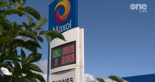 Irlanda scoate Armata în stradă pentru a elibera drumuri și instalații energetice blocate de protestatari