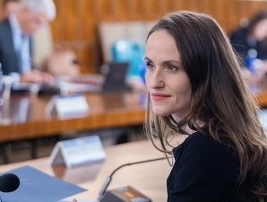 VIDEO Fără programări disponibile, firme-fantomă care cereau taxe mari, zero răspuns la mail-uri - probleme semnalate de diaspora la unele consulate din Germania. Echipă nouă la Bohn, consulul din Hamburg - rechemat