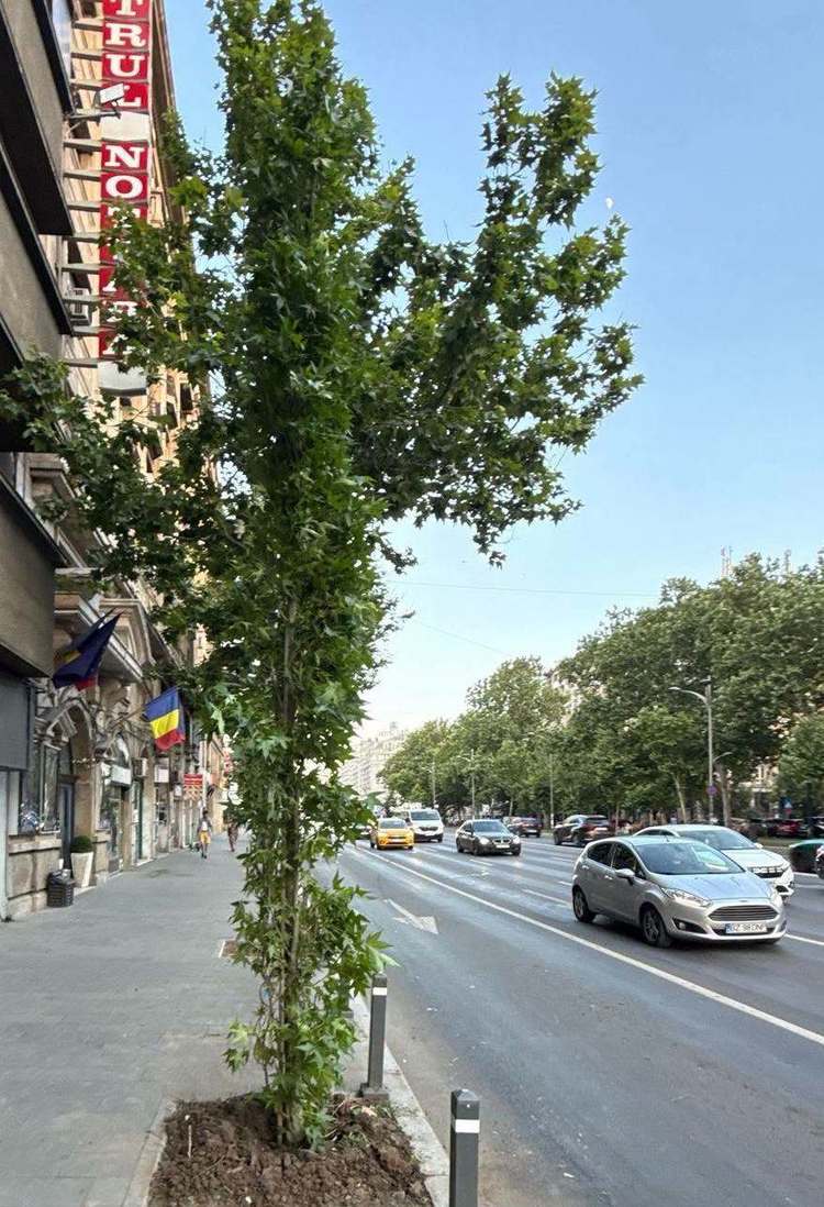 FOTO Schimbare totală pe Bulevardul Bălcescu – Bulevardul Magheru – Piața Romană. Este pregătit un concurs internațional de soluții