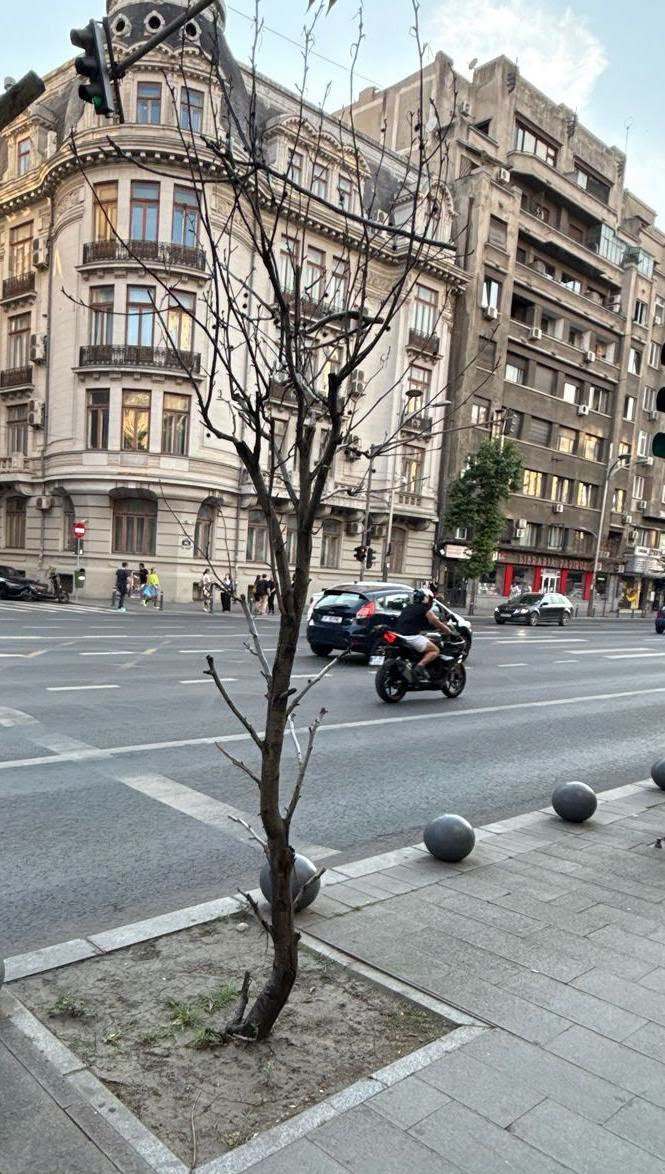 FOTO Schimbare totală pe Bulevardul Bălcescu – Bulevardul Magheru – Piața Romană. Este pregătit un concurs internațional de soluții