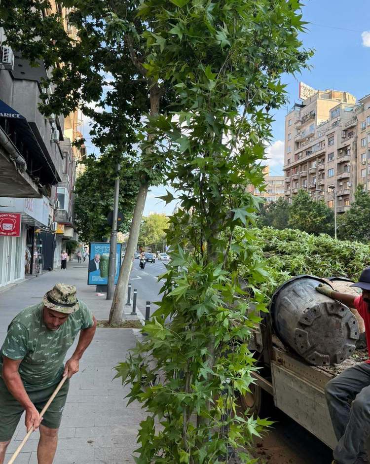 FOTO Schimbare totală pe Bulevardul Bălcescu – Bulevardul Magheru – Piața Romană. Este pregătit un concurs internațional de soluții