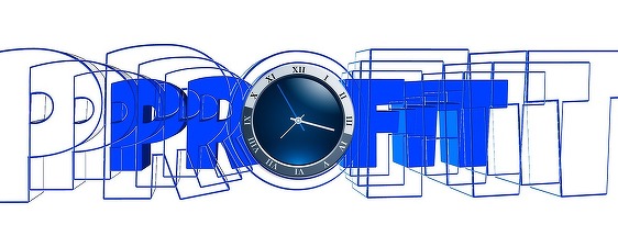 DOCUMENT Forma finală a legii care lasă firmele să distribuie acționarilor profitul după fiecare trimestru. Au fost introduse modificări