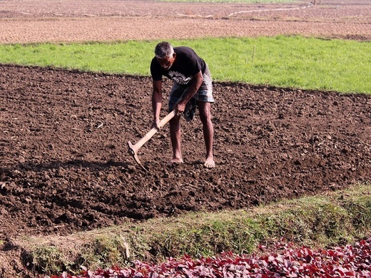 ANAF: Precizări privind munca prestată de zilieri