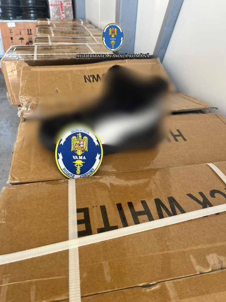 FOTO Captură la Vamă: aproape 1.300 de perechi de încălțăminte „de marcă”, oprite înainte de a ajunge pe piață