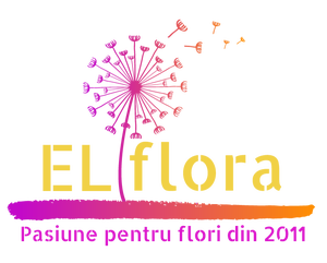 El Flora