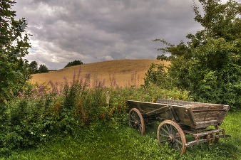 ANAF vinde un lot de 51 de mașini și aproape 300 de căruțe uzate. Mașini de la 600 lei. Pentru cumpărătorii cu buget și mai redus, căruțele încep de la ... 14 lei bucata